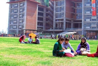 faculty of UIU