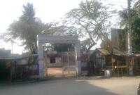 community and clinic health services
