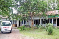 community and clinic health services