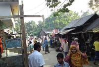 community and clinic health services