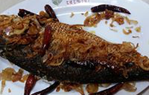 Yummy Tasty Food