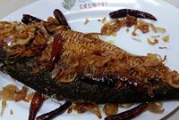 Yummy Tasty Food