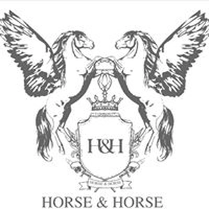 Horse And Horse