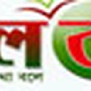 shamolbangla24.com
