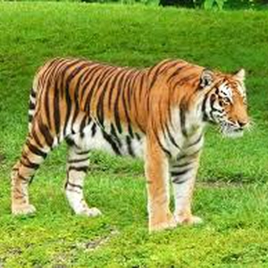 Bangladesh National Zoo